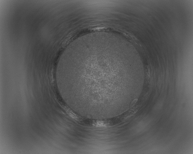 X0000056320565200509021606
