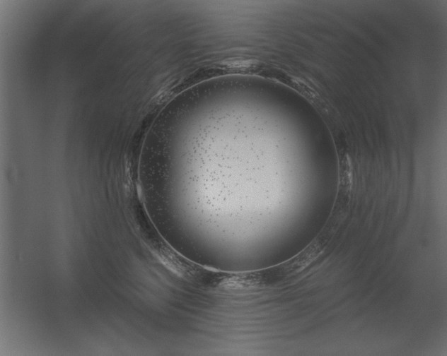 X0000056320568200509021606