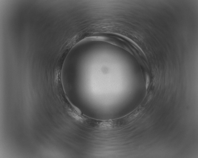 X0000056320574200509021606