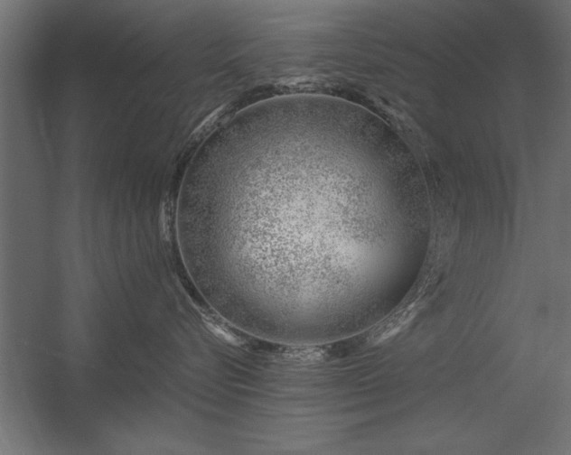 X0000056320576200509021606