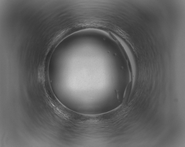 X0000056320578200509021605