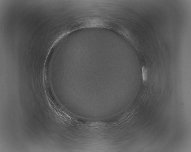 X0000056320579200509021605