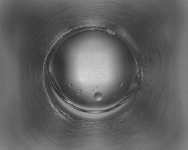 X0000056320580200509021605