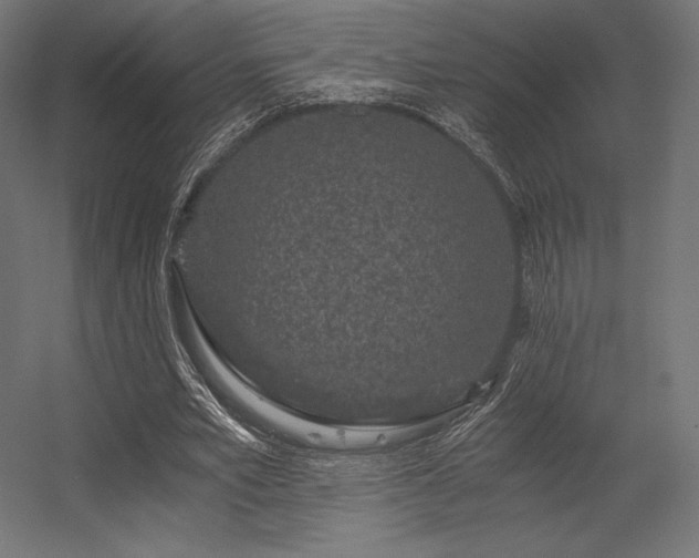 X0000056320581200509021605