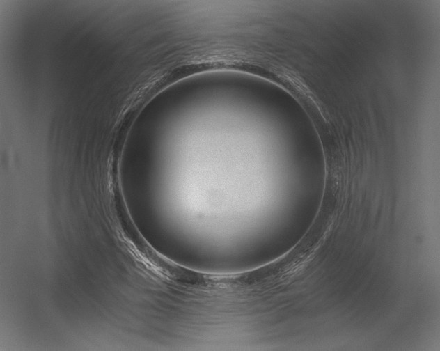 X0000056320585200509021605