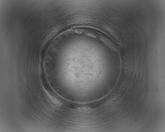 X0000056320586200509021605