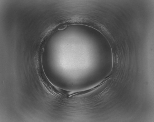 X0000056320588200509021605