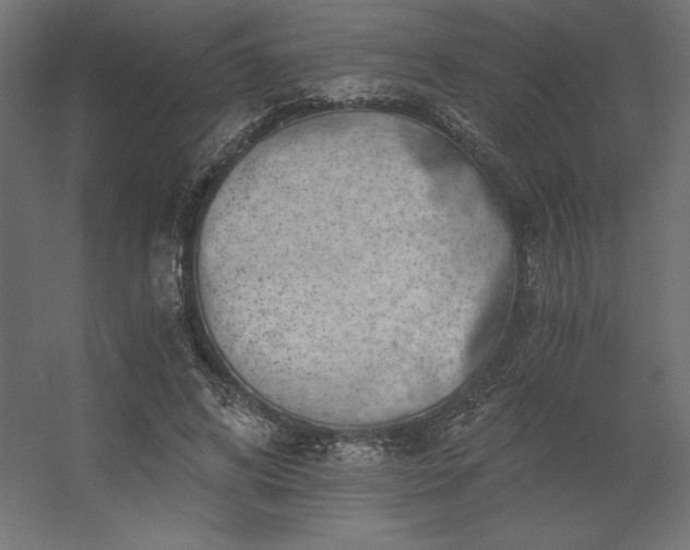 X0000056320592200509021605