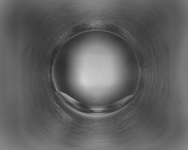 X0000056320593200509021605