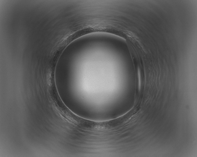 X0000056320596200509021605