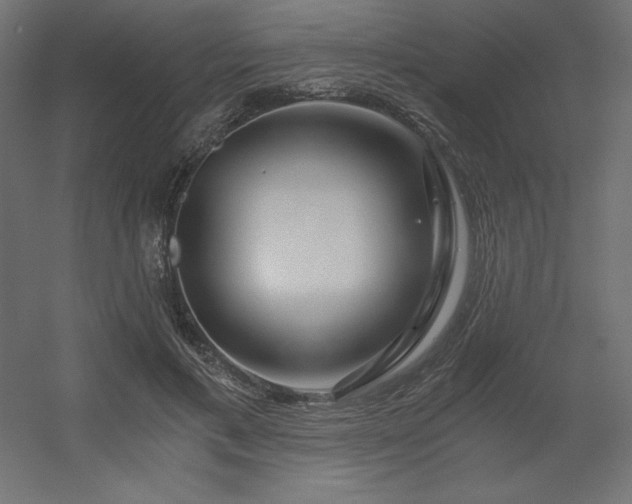 X0000056320597200509021605