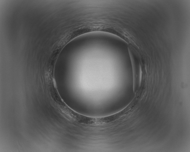 X0000056320601200509021605
