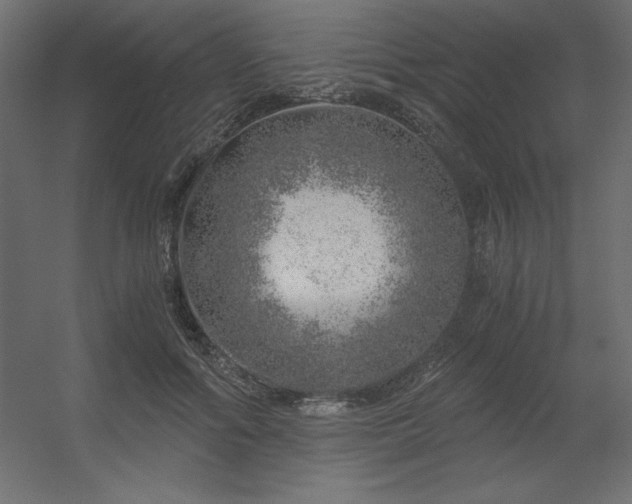 X0000056320602200509021605