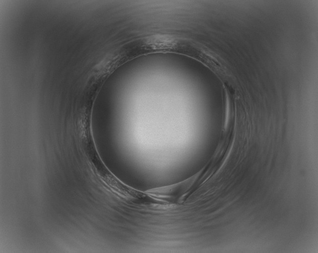 X0000056320604200509021605