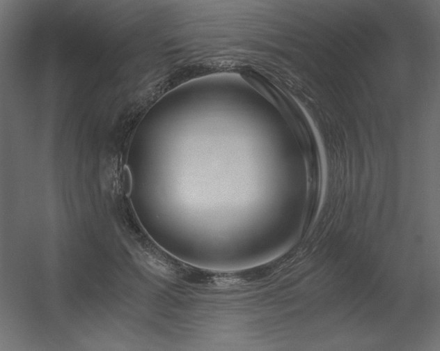 X0000056320605200509021605