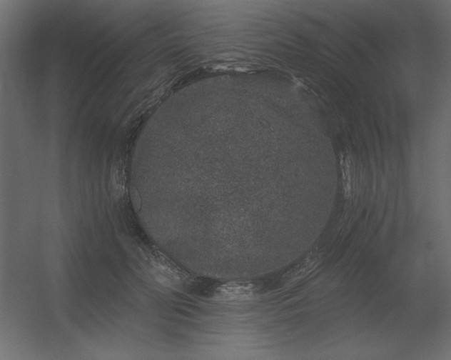 X0000056320606200509021605