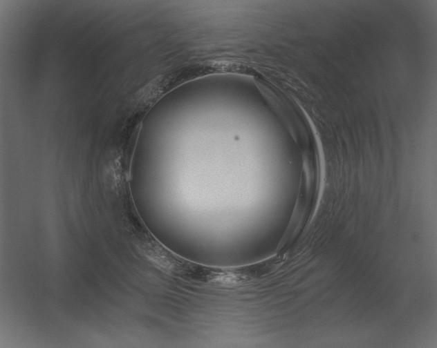 X0000056320611200509021605
