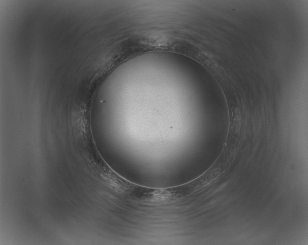 X0000056320612200509021605
