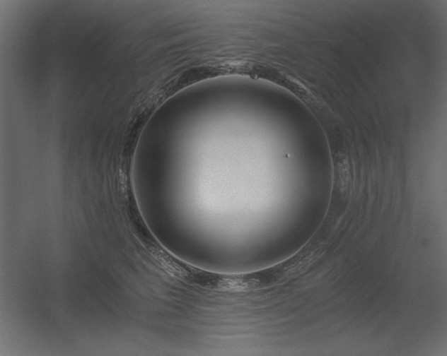 X0000056320613200509021605