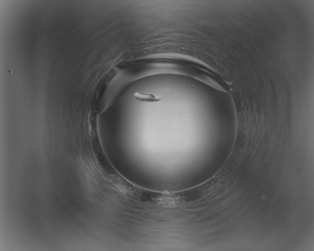 X0000056320615200509021605