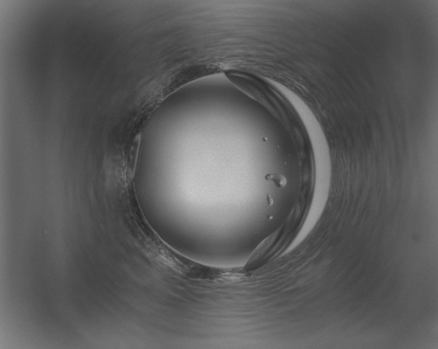 X0000056320617200509021605