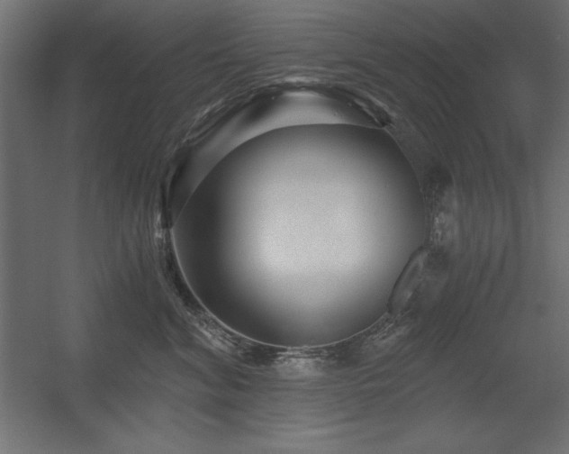 X0000056320620200509021605