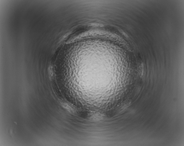 X0000056320621200509021605