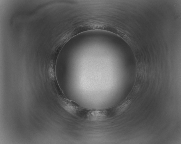X0000056320622200509021605