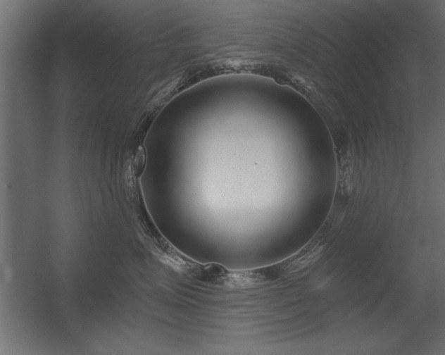 X0000056320623200509021605