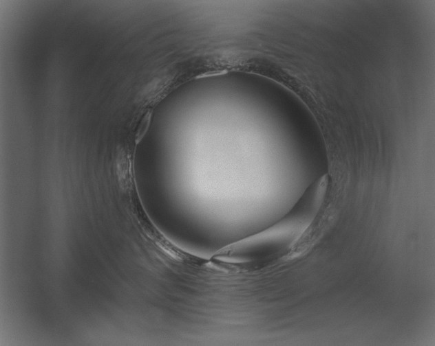 X0000056320624200509021605