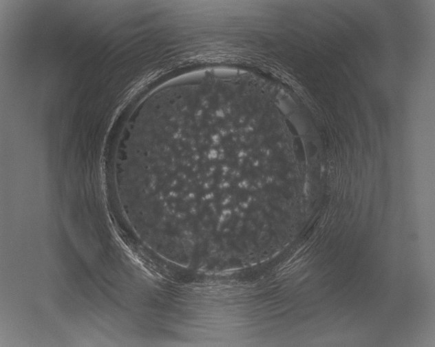 X0000056320626200509021604