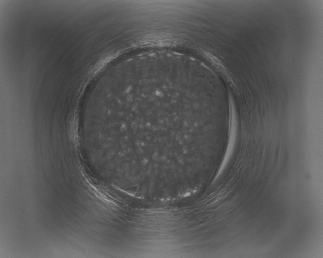 X0000056320627200509021604