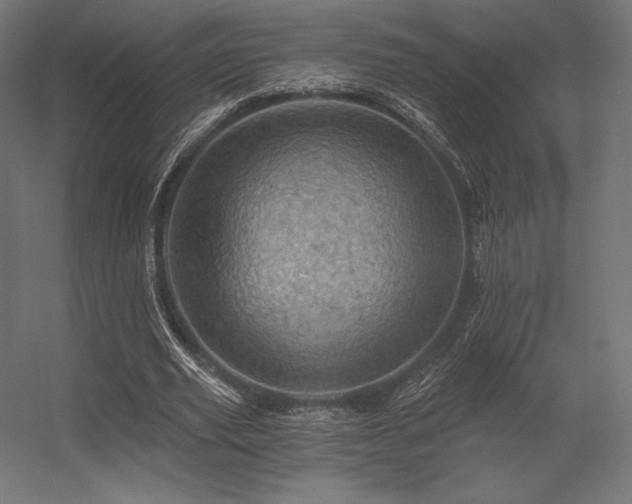X0000056320629200509021604