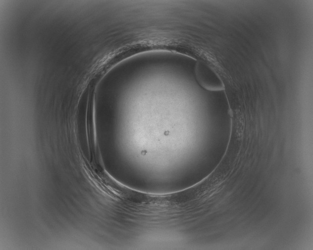 X0000056320631200509021604