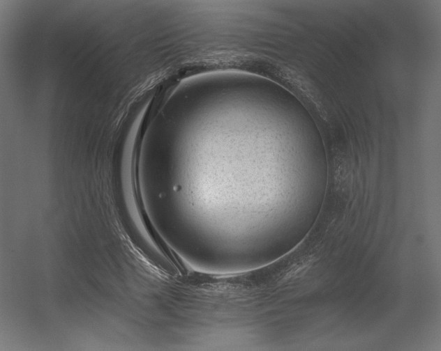 X0000056320633200509021604