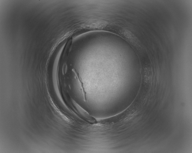 X0000056320634200509021604