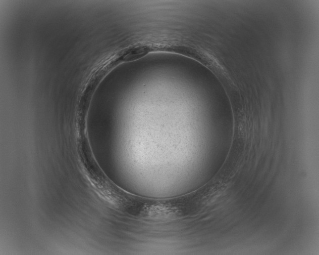 X0000056320635200509021604