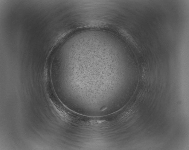 X0000056320636200509021604
