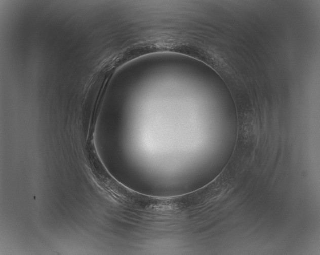 X0000056320639200509021604