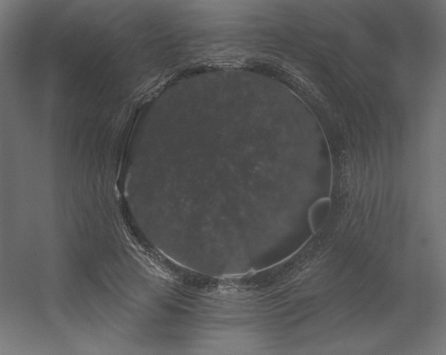X0000056320641200509021604