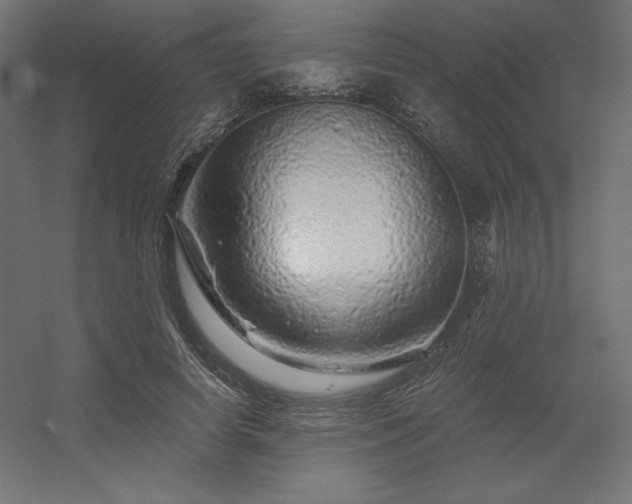 X0000056320642200509021604