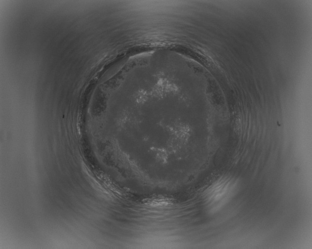 X0000056320643200509021604
