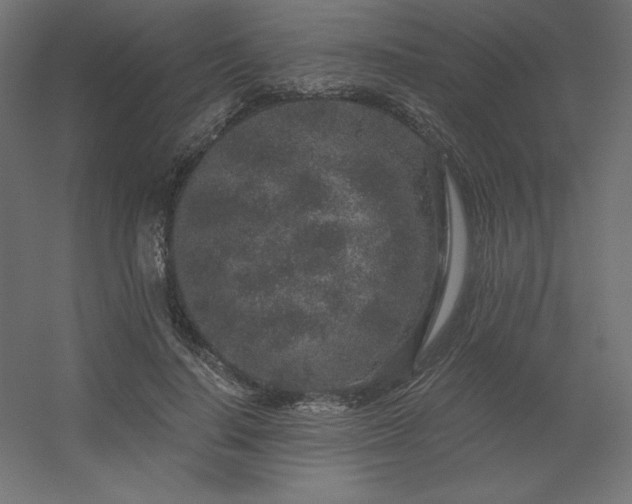 X0000056320644200509021604