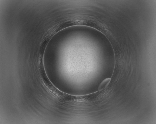 X0000056320645200509021604