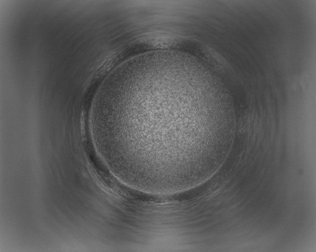X0000056320646200509021604