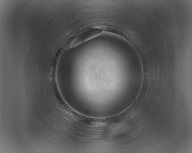 X0000056320649200509021604