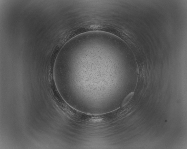 X0000056320651200509021604