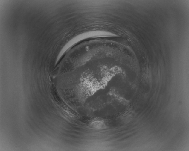 X0000056320653200509021604