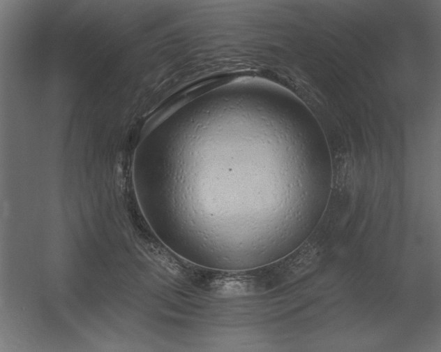 X0000056320655200509021604