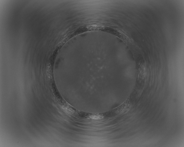 X0000056320659200509021604